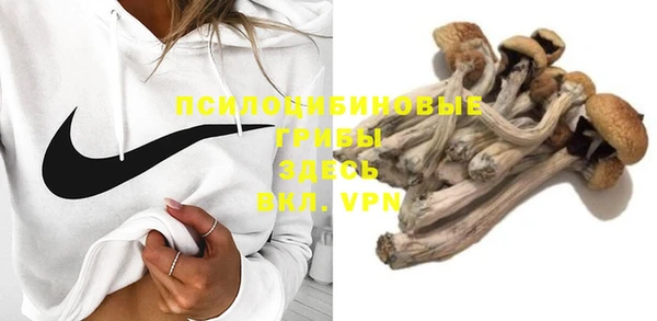 дживик Алзамай