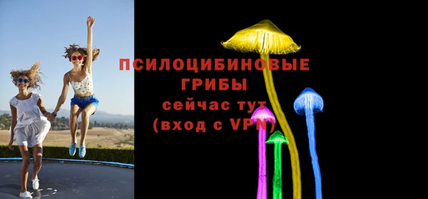 дживик Алзамай