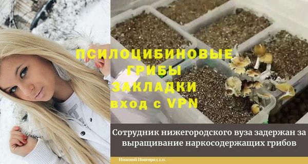 крисы Алексин