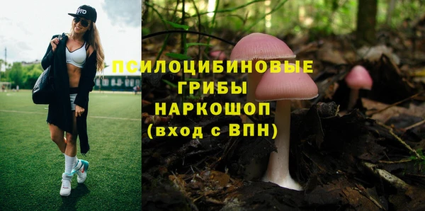 дживик Алзамай