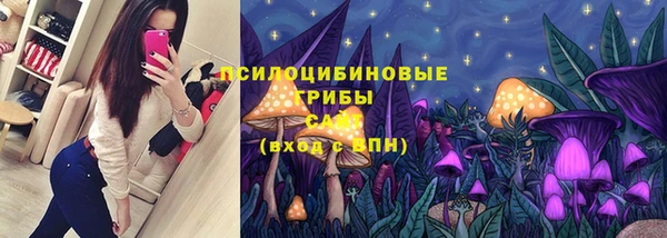 крисы Алексин